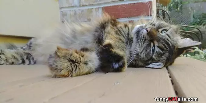 This Is A Nice Place To Chill