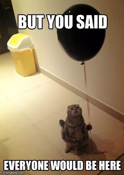 But You Said