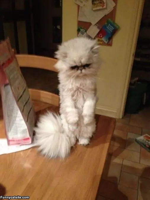 I Am Just Standing Here