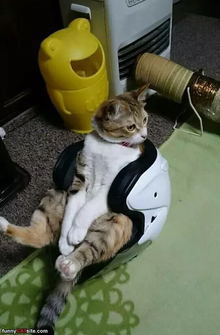 This Helmet Keeps Me Safe