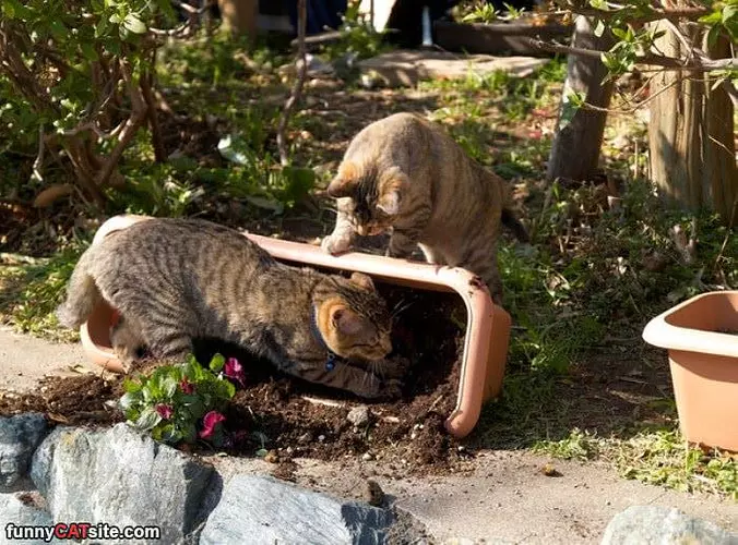 Finding That Nip