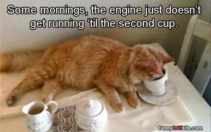Some Mornings