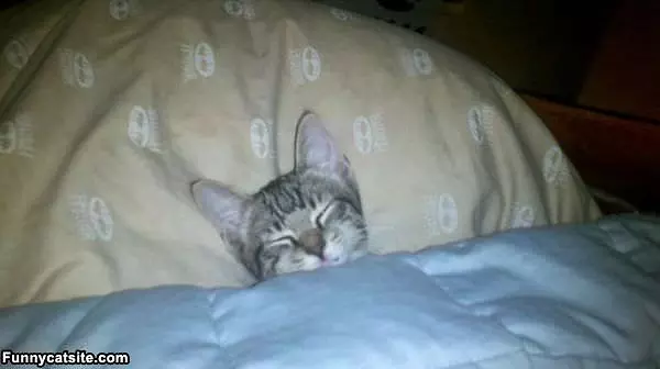 Relaxing In My Bed