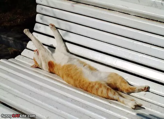 Sleep How I Wants