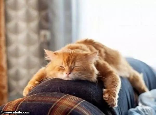 Sleep How And Where I Want