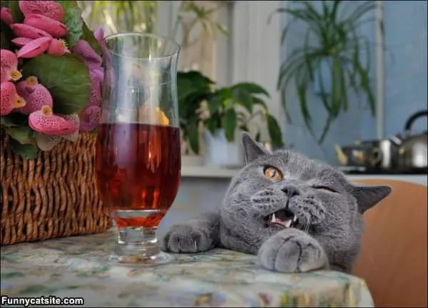 Just One More Glass