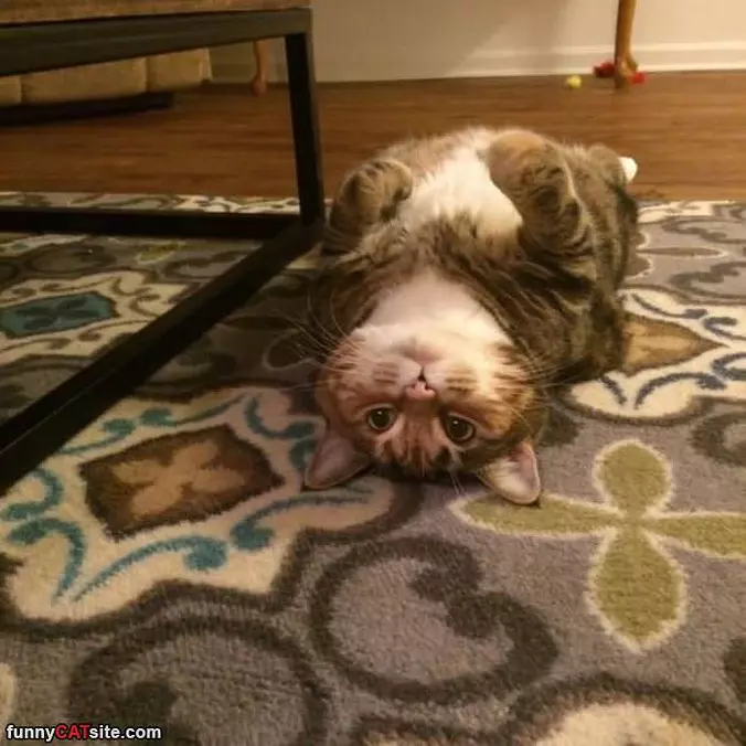 Relaxing On My Back