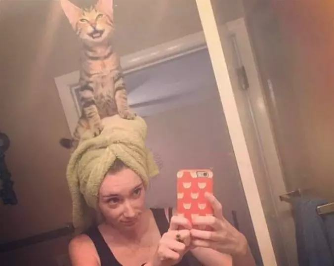 Cat Hat