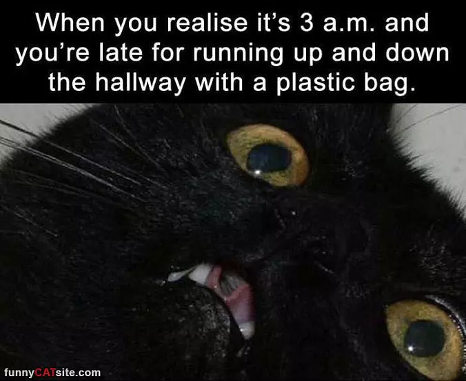 At 3 Am