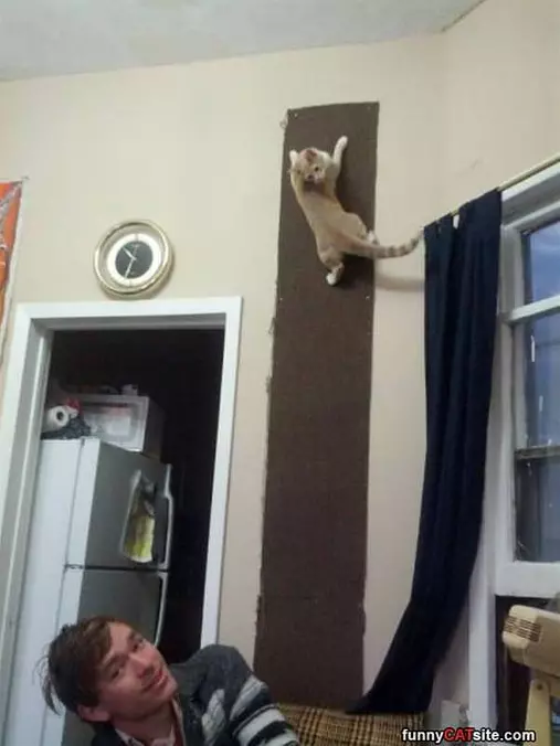 Climbing The Walls
