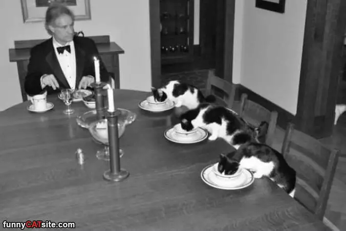 Eating Dinner Together