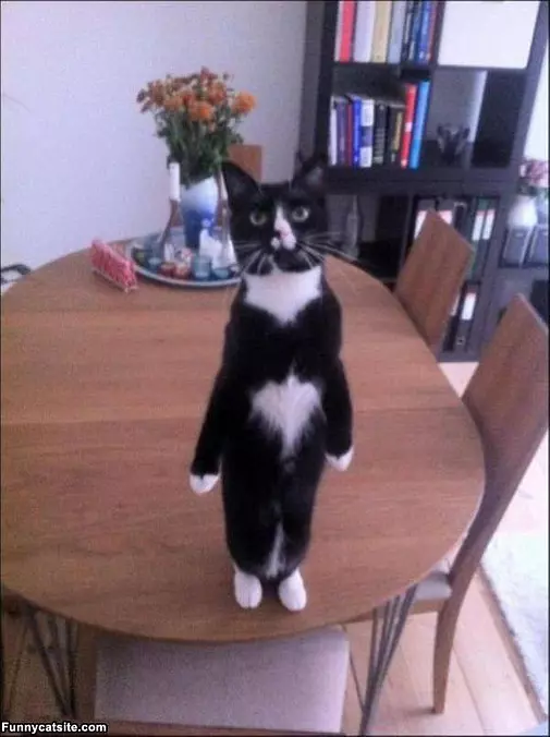 Standing Tall