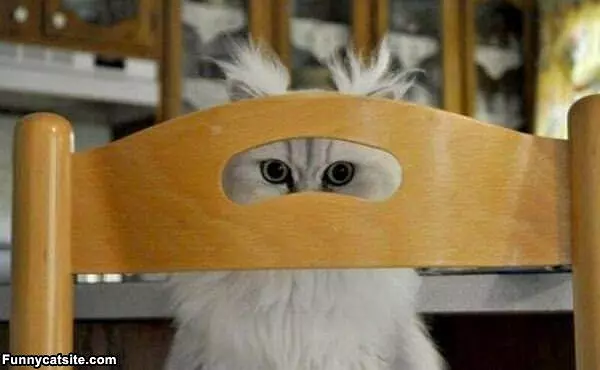 Im Watching You