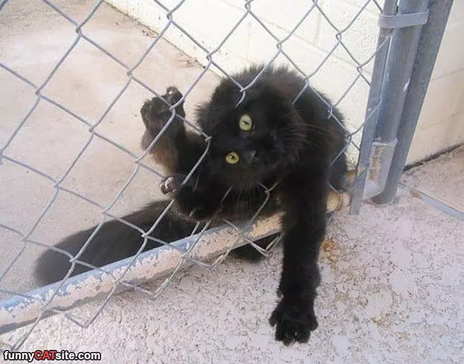 I Know I Can Fit