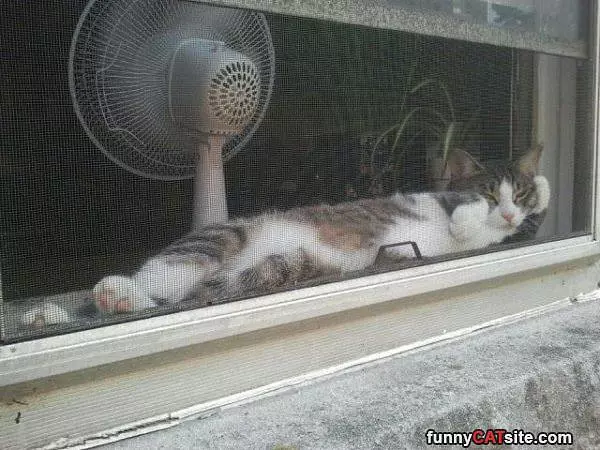 Whats Going On Out There