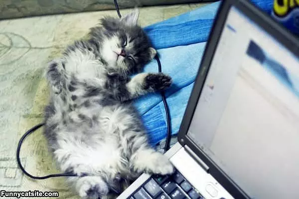 Im Sleepy