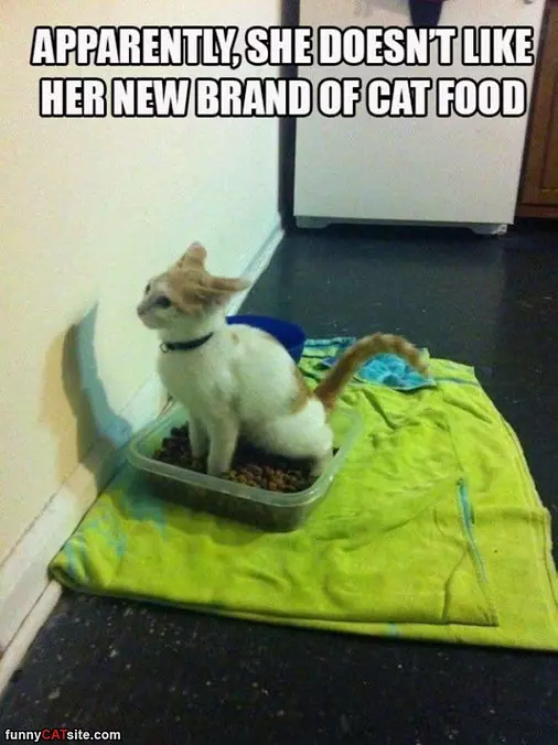 Not My Favorite Food