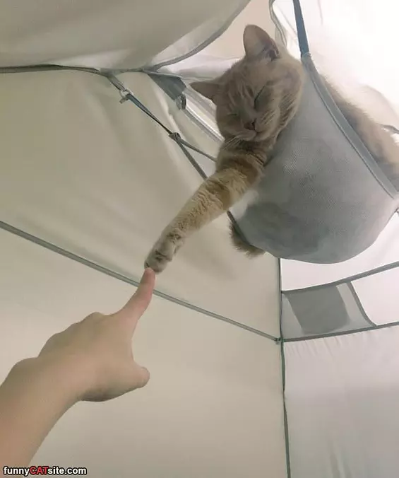 Fist Bump