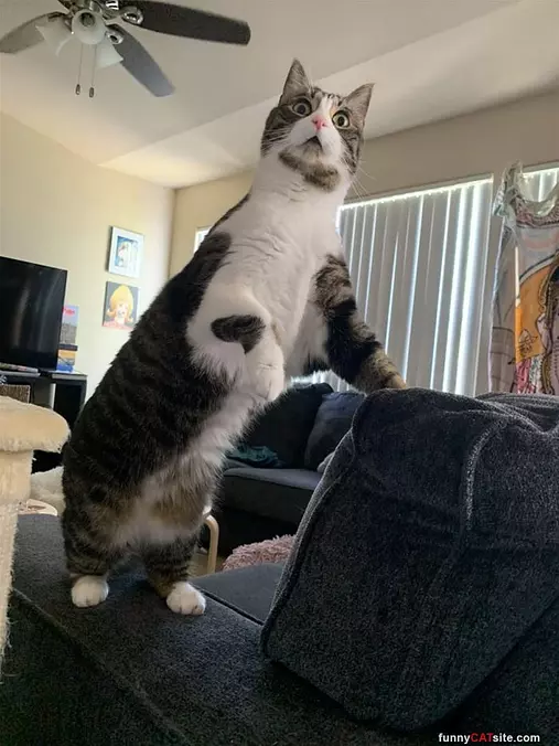 Whats Up People