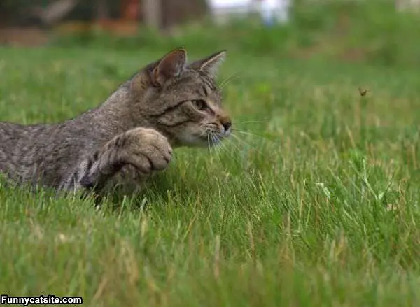 Serious Hunter
