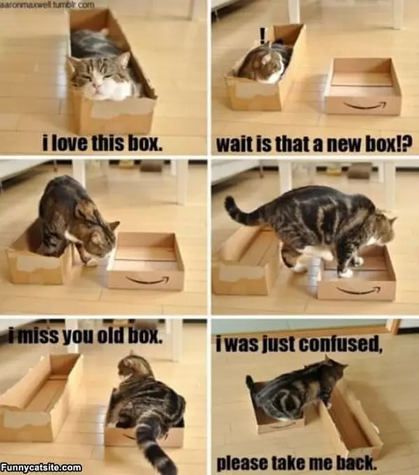 I Love This Box