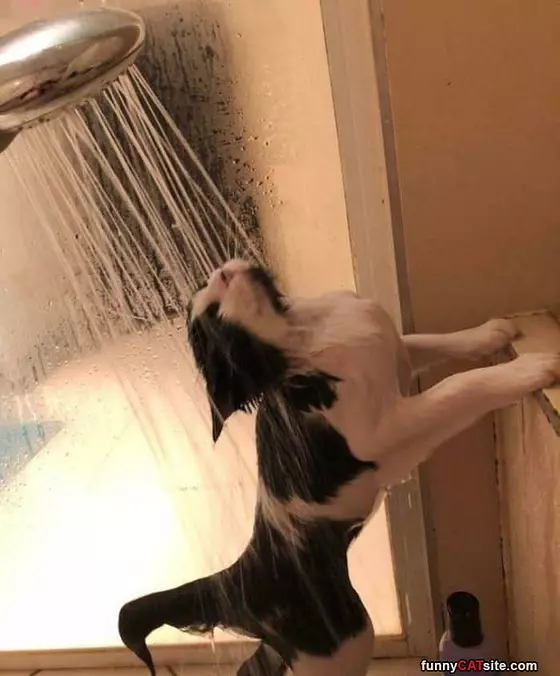 Taking A Shower