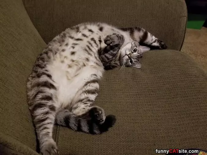 Sooo Passed Out