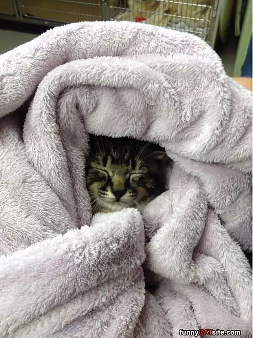 This Is My Warm Spot