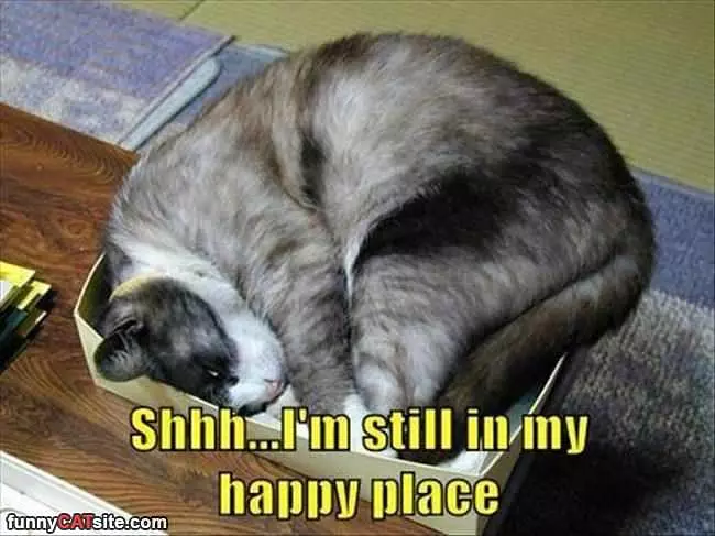 Found My Happy Place