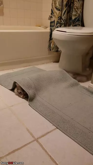 Found A Quiet Spot