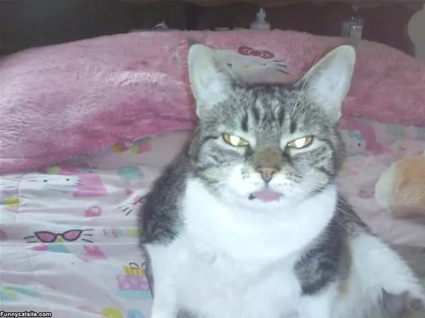 Tongue Out At You