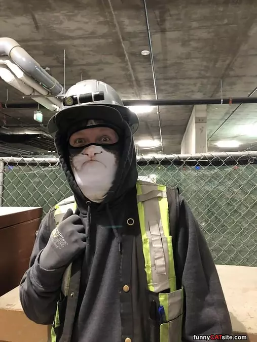 Nice Mask