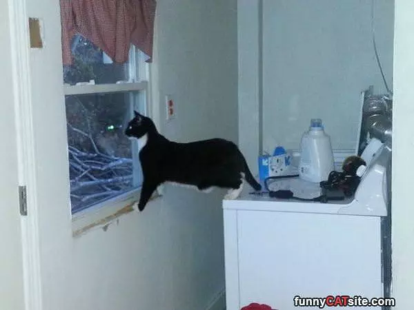 How I Get A Better View