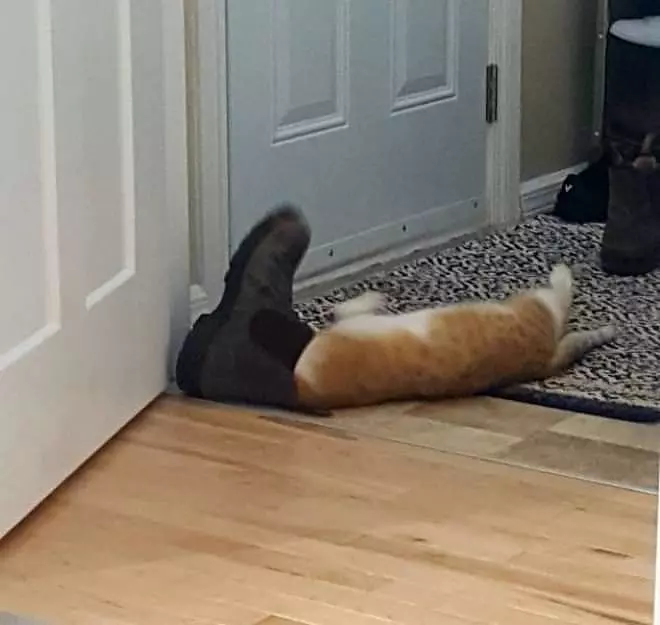 I Love This Boot