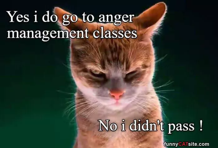 Anger Management