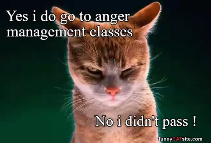 Anger Management