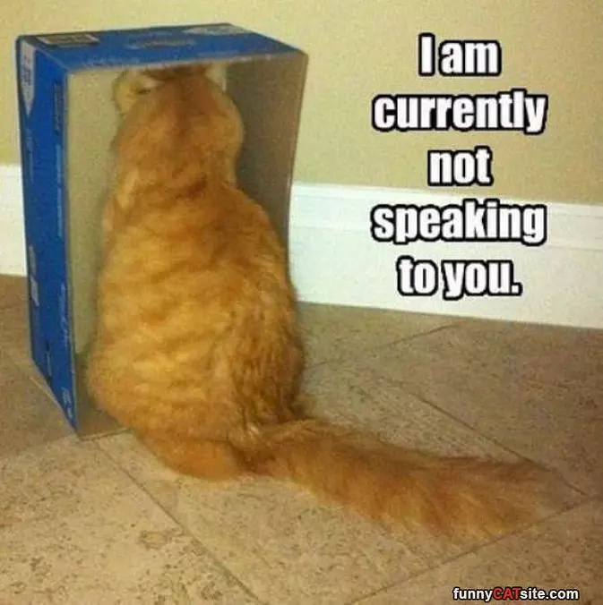 Not Speaking To You