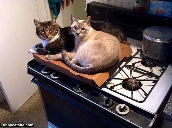We Love Boxes