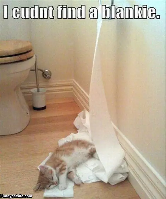 Blankie