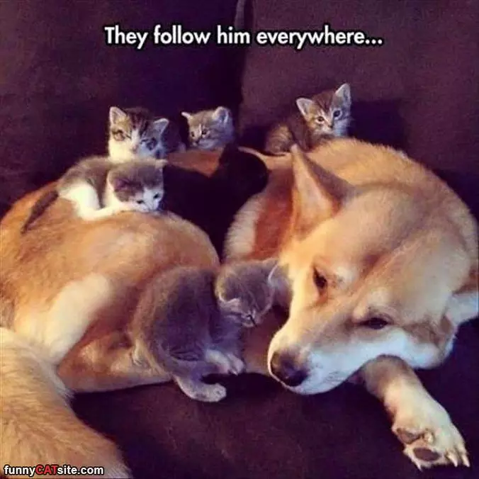 Following Him Everywhere