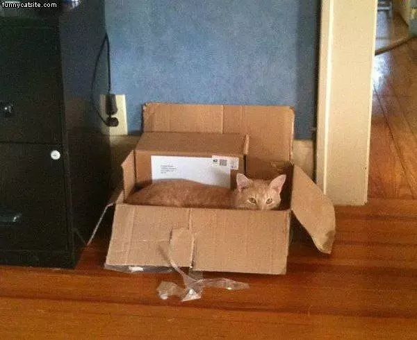 Package