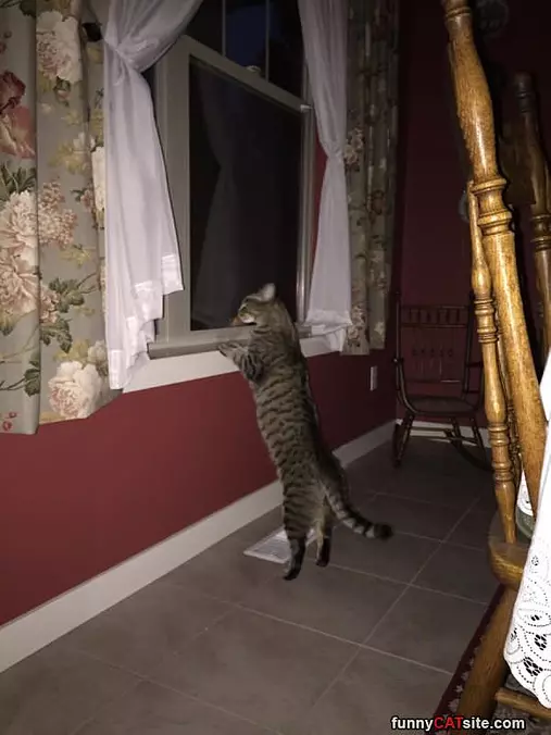 I Heard Something