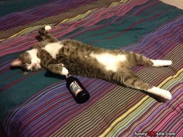 I Had A Long Morning
