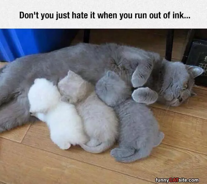 Run Out Of Ink