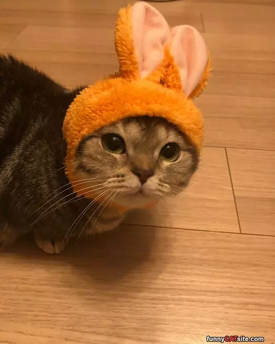 I Am A Ball
