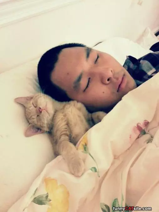 Napping Together