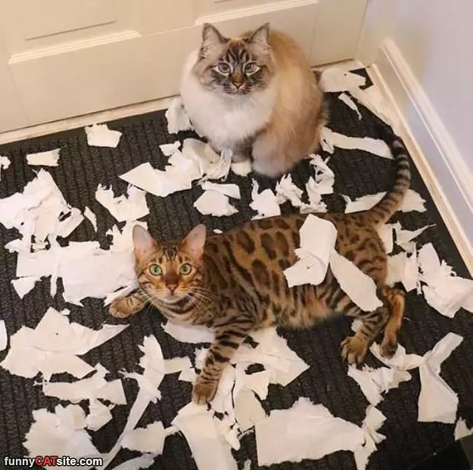 We Made A Mess
