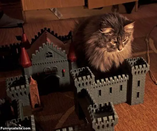 My Castle