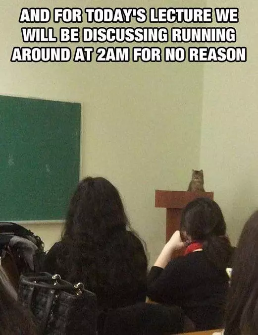 Todays Lecture