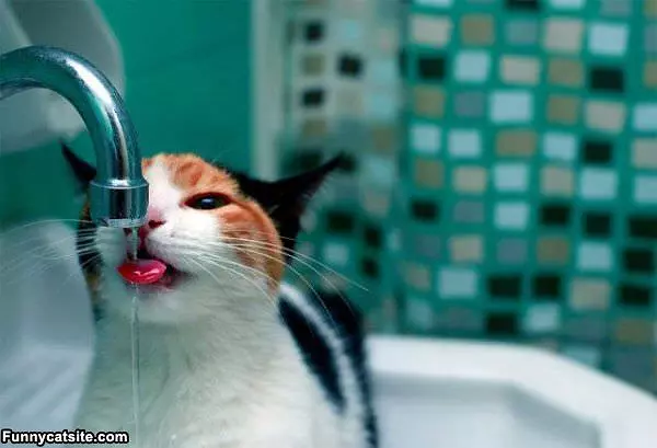 Slow Water Drip